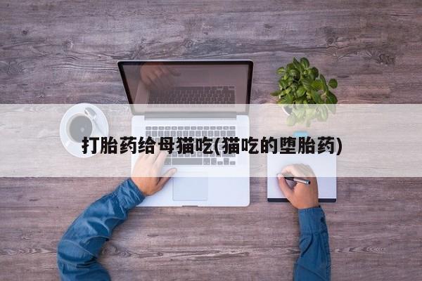 网上打胎药专卖微信打胎药给母猫吃(猫吃的堕胎药)