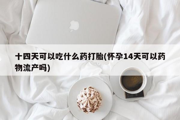 网上打胎药专卖微信十四天可以吃什么药打胎(怀孕14天可以药物流产吗)